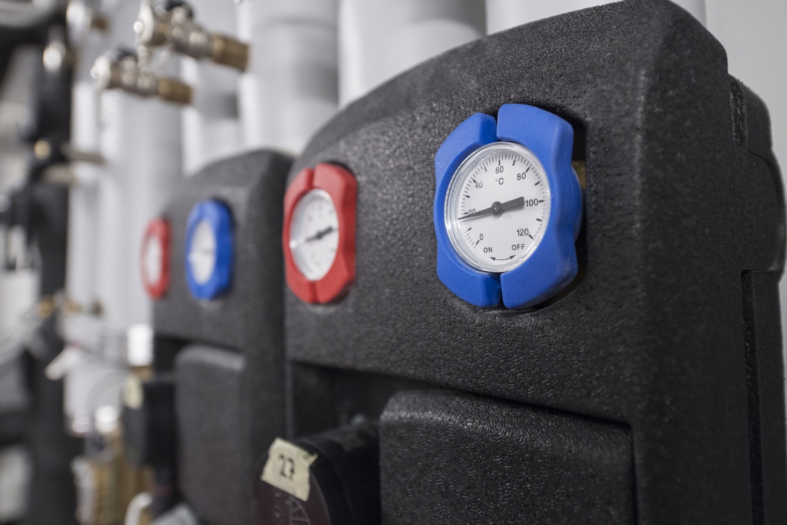 ErVo_2019_reportage_01_3939